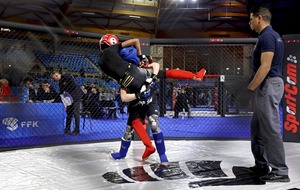 Coupe de France Karate zone nord Mix Senior et Senior ELITE